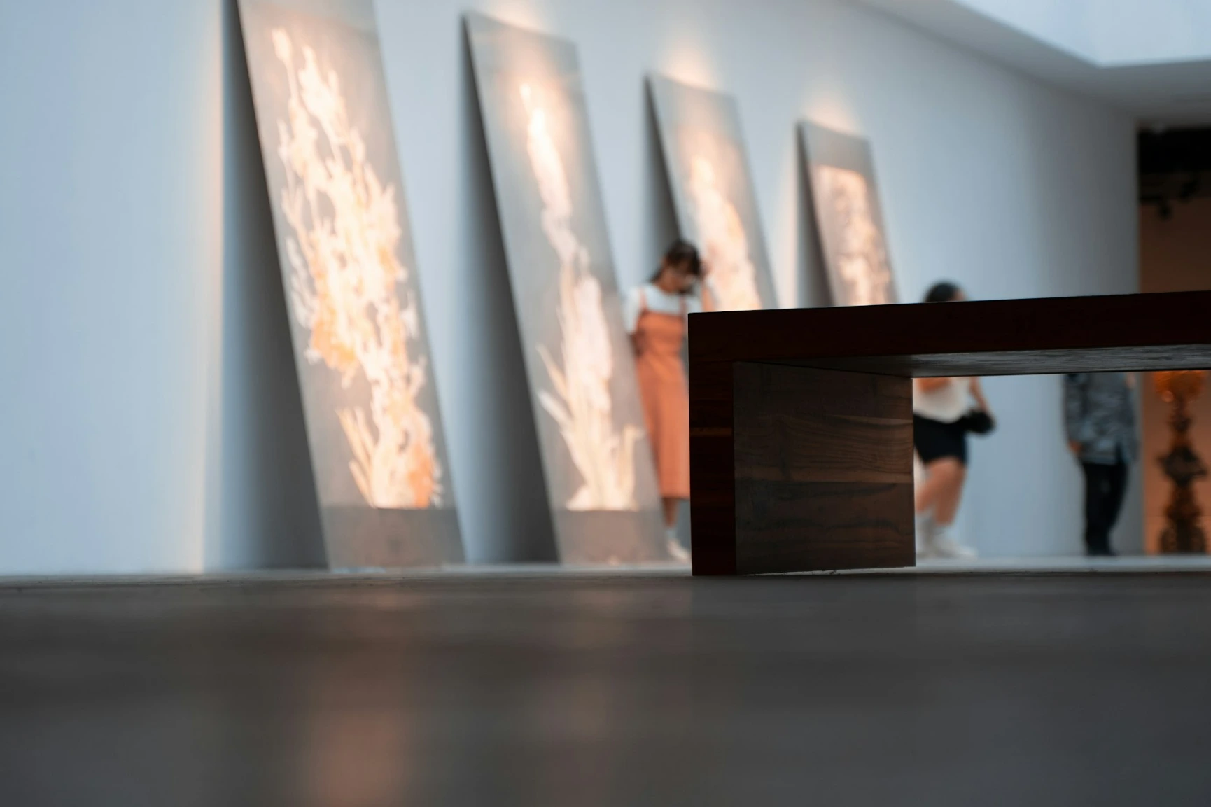 Arte e collezione dalla vita familiare
